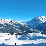 Apartmán Almis-boedeli-2 By Interhome Grindelwald