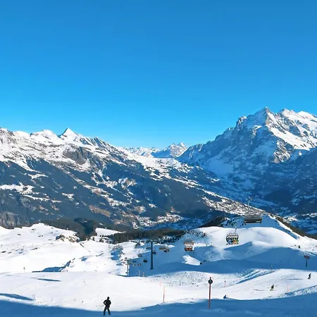 Apartment Almis-boedeli-2 By Interhome Grindelwald