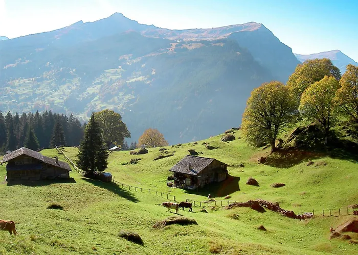 Almis-boedeli-2 By Interhome *