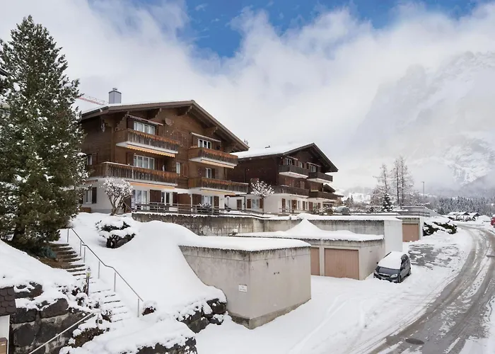 Almis-boedeli-2 By Interhome * Grindelwald